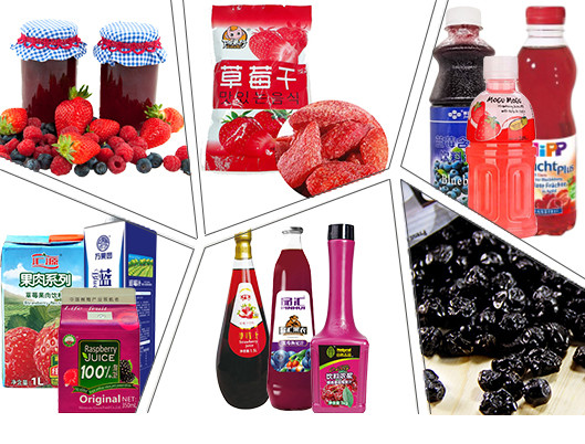 ステンレス鋼304 440V 25T/Hの果実のプロセス用機器