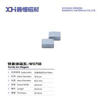 Air Conditioner Motor Permanent Magnet Ferrite for Convenient Mini Refrigerators W075B