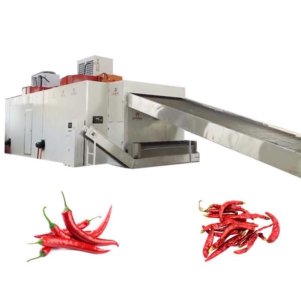 PLC Control Industrial Stainless Steel Mesh Belt Dryer For Irregular Lumps Red Dates