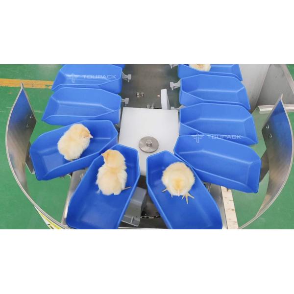 Умная автоматическая машина Weigher проверки транспортера для красного контролера веса Weigher пояса сортировщицы сосисок креветки