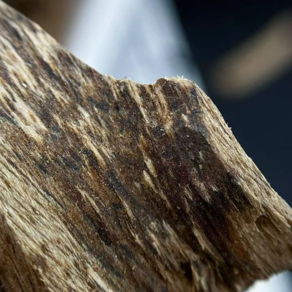 Pure OUD Agarwood raw material ideal for essential oil extraction and exclusive scent creation in perfumery industry