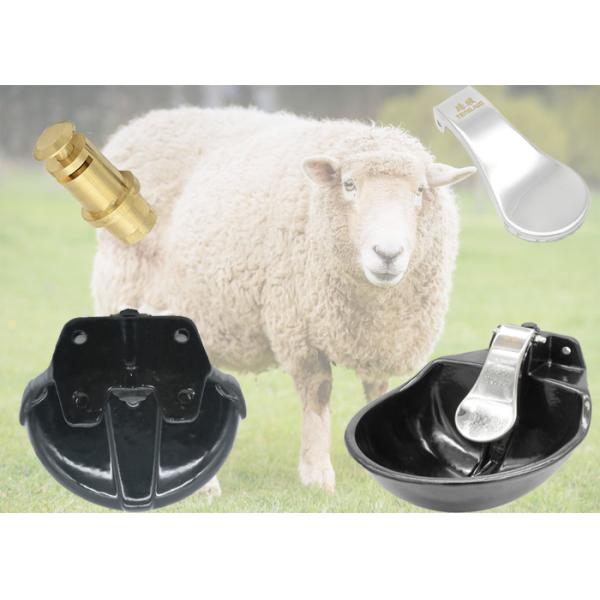 4 Holes Design Cattle Water Drinking Bowl Stainless Steel Wall Mounting