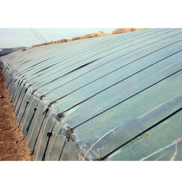 Manafacture PE Material Pre-stretch Perforated UV Resistant Agriculture Film Cover Material and PE Material poly green