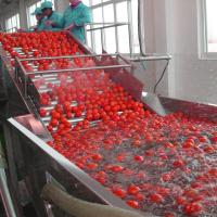 Tipo lavadora de la burbuja de aire del tomate para el proceso de fruta vegetal