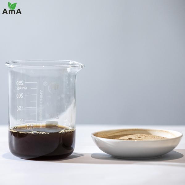 Fertilizante Orgânico de Aminoácidos Fonte de Soja 40% Pó Marrom Para Agricultura Orgânica