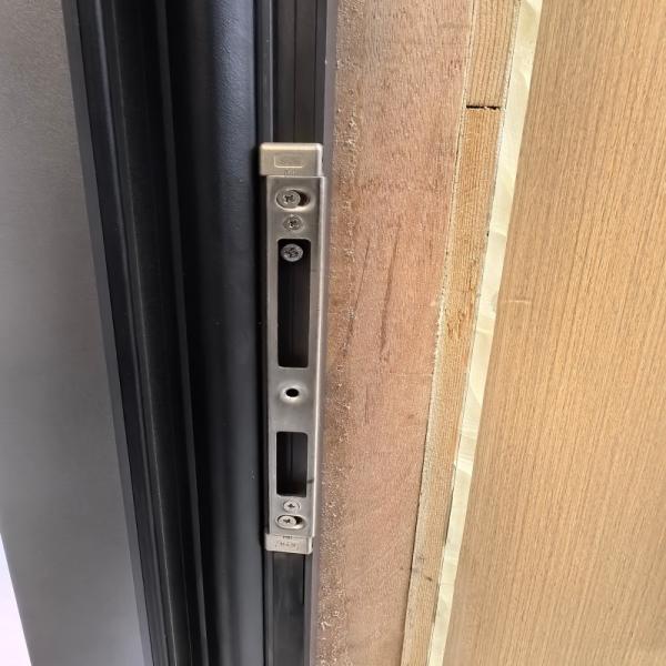 Modern Design High Performance Aluminum Casement Door with Superior Wind Pressure Resistance for Commercial Project