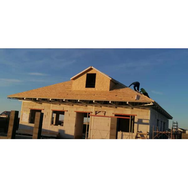 OSB Board Steel Structural Building Light Steel Keel Villa Homes