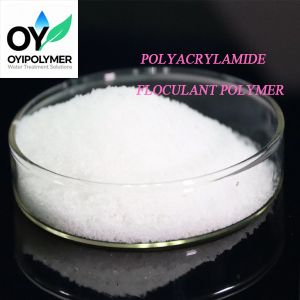 White Powder Anionic Polyacrylamide Flocculant Secondary Tertiary Treatment