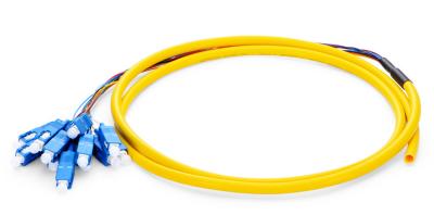 1.5m 12 Fibers OS2 Fiber Optic Pigtail Single Mode Bunch PVC 0.9mm SC UPC