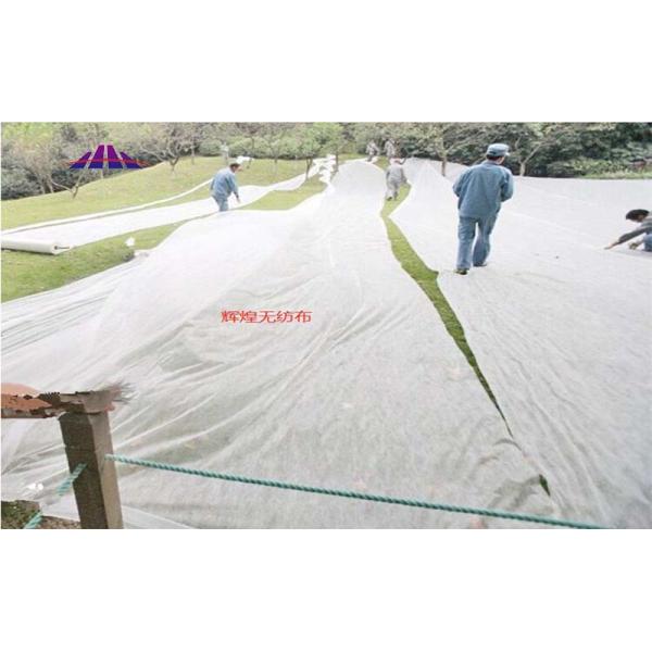 Biodegradable PP Polypropylene Spunbond Nonwoven Fabric Agricultural