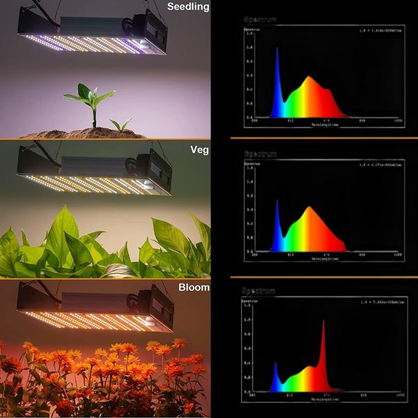 80x80x160 см Полный набор палатки для внутреннего выращивания 150 Вт Полная система палатки для выращивания
