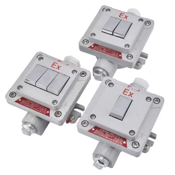 Flameproof Type Explosion-proof Wall Switch Surface-mounted Explosion-proof, Dust-proof and Water-resistant