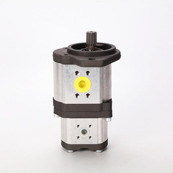 0510765055 Hydraulic Gear Pump with Skew Tooth Flank Azpff-11-022/008rrr2020kb