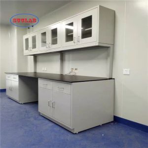 Chemistry Lab Furniture Chemistry Laboratory Table Multipurpose Scientific Lab Furniture