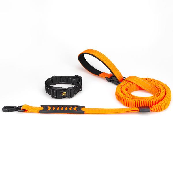 Custom Multi Functional Pet Leash Hands Free Dog Leash And Collars Set With Poop Bag