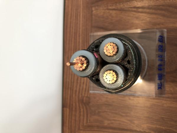 Seção nominal: o ² 8.7/10KV XLPE de 25~400mm isolou cabos distribuidores de corrente do milivolt (blindados) para a central elétrica (CU/XLPE/DSTA/N2XBY)