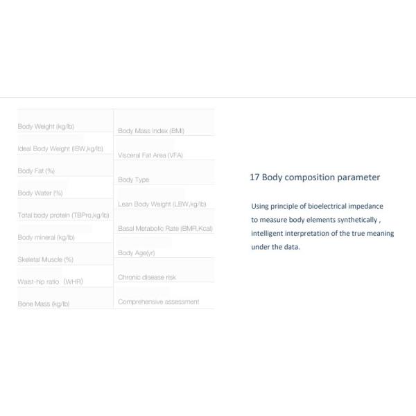 body composition measurer ,body composition test,bmi test,body weight index