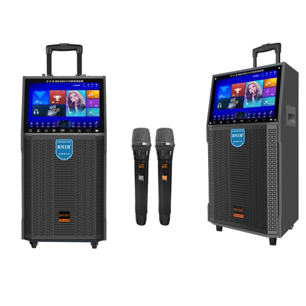 WIFI Portable Bluetooth Karaoke Party Speaker Super Bass Wireless 10 Inch Outdoor