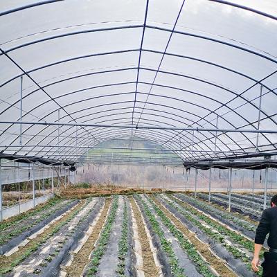 Film Cover Fiber Glass Greenhouse 8m Tunnel Width With Cooling Pad