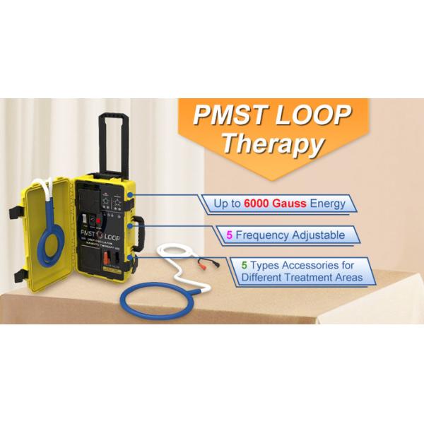 Магнетотерапия Pmst Нео импульсное электромагнитное устройство Pemf Loop