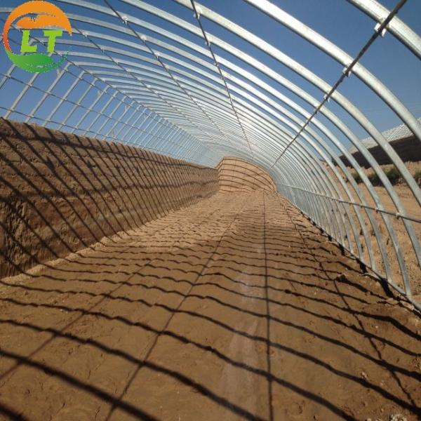 Hydroponic System Included High Strength Solar Greenhouse for Vegetable Fruits Flowers