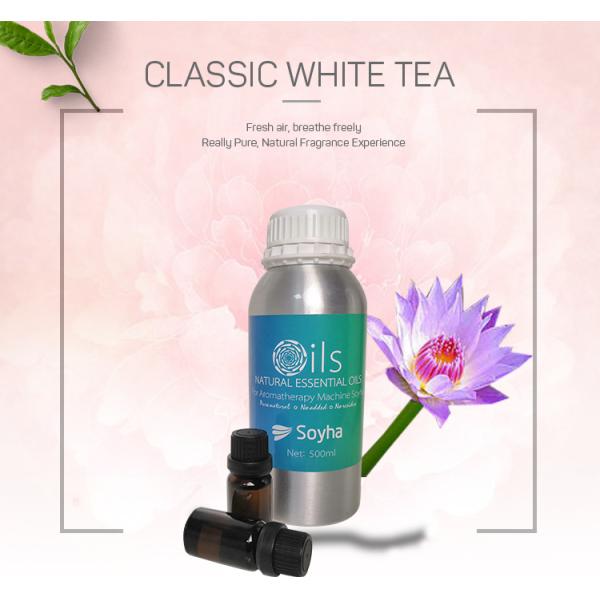 Green Bamboo Incense Plant Essential Oil For Aroma Diffuser Machine