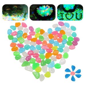 зарево 2mm 3mm в темном каменном украшении садка для рыбы сада