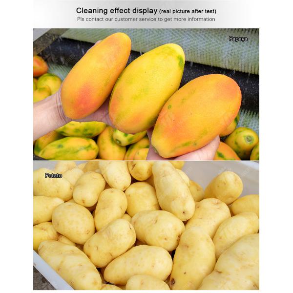 Wash Washer Washing Cleaning processing production Destoning Sealed Cover Type Peeling Machine Ginger Potato Carrot Taro Sweet potato Yam Saiko persimmon papaya horseshoe macadamia nut