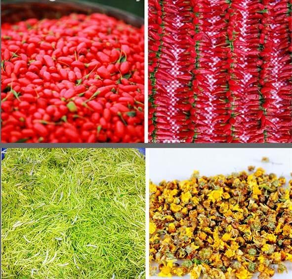 High Efficiency Microwave Vegetable Dryer Machine , Rapid Drying Herb Dryer Machine