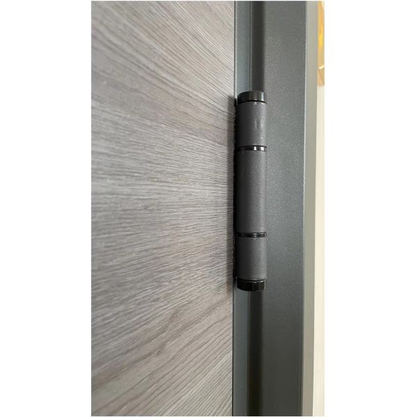 Durable Residential Modern Steel Security Door Anti Theft Main Entry Door