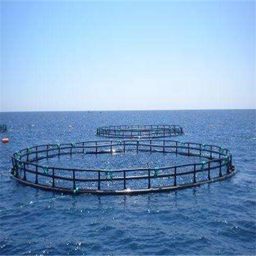 Long Life Anti UV Floating Fish Cage Safety Corrosion Resistance Less Maintenance