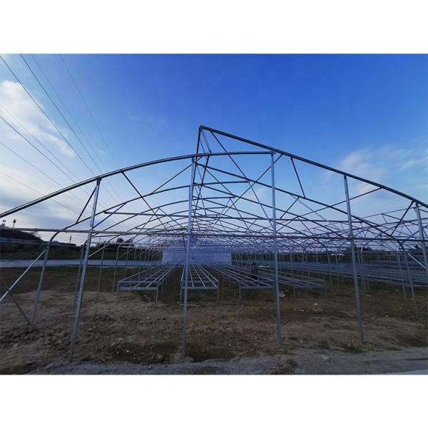 Customizable Metal Pipe Frame Greenhouse With 200micron Plastic Film