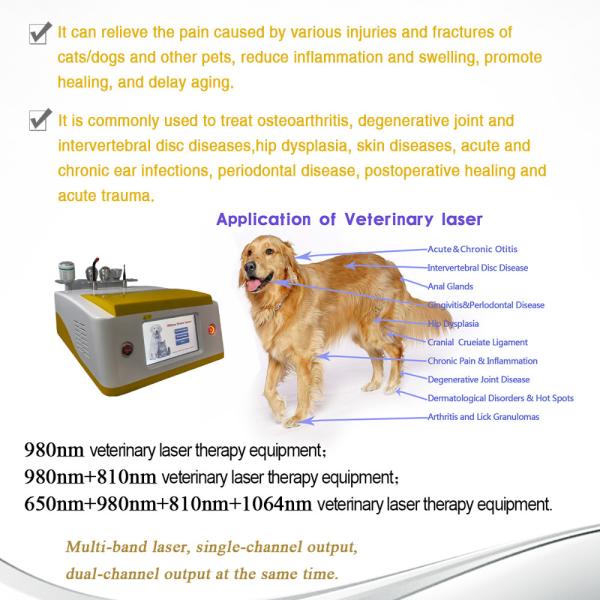 980nm Diode Laser Device for Animal Care and Veterinary Physical Therapy Vet Dental Clinic Use Machine
