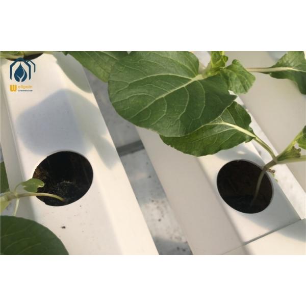 Large Vertical Hydroponic Growing Systems 100mm Hydroponic NFT System