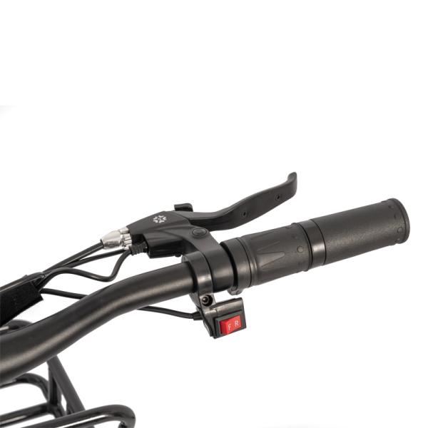 Food Electric Fat Tire Delivery Tricycle E-bike with 48V 500W Motor Power and Disc Brake