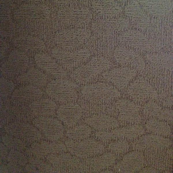 Удобрите устойчивый ковер Бербер 10% шерсть Джаквард на 90% полиэстер 4м пола комнаты