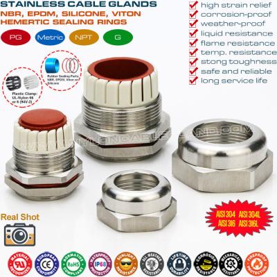 Anti-Corrosion IP68 Metric Cable Glands Stainless Steel 304, 316, 316L SCG Series with Silicone Seal & O-ring