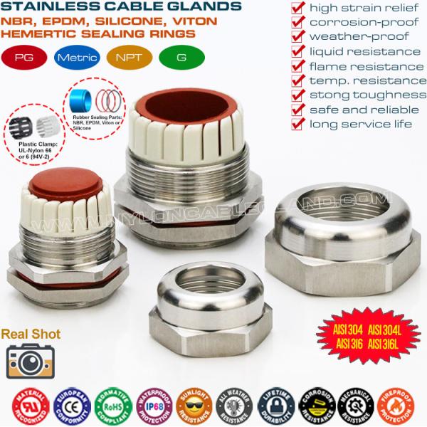 304, 316, 316L Stainless Steel Temperature Resistant PG Cable Glands Joints Connectors with FPM Hermetic Seals 304, 316, 316L Stainless Steel Temperature Resistant PG7-PG48 Cable Glands with Fluoroelastomer Seals