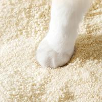 カスタムキャッサバ 猫のゴミ 砂 ODM 急速な集積 猫のゴミ 低塵