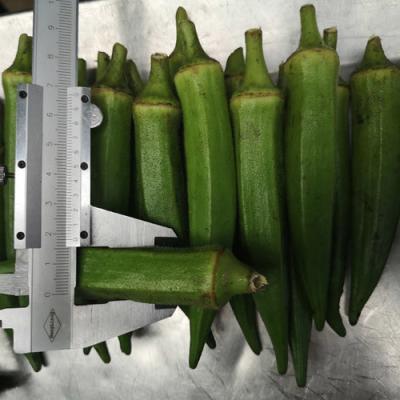 200g×5 FDA Certified IQF Frozen Okra IQF Frozen Food For Supermarkets