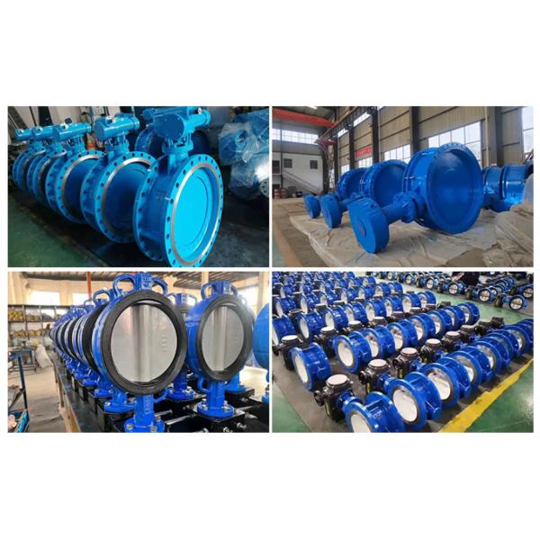 BS 4504 Stainless Steel Double Flange Concentric Butterfly Valve Standard Port Size