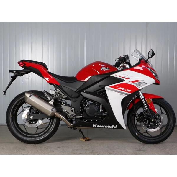 Double Cylinder Engine 350cc Sport Touring Motorcycles Front / Rear Double Dics