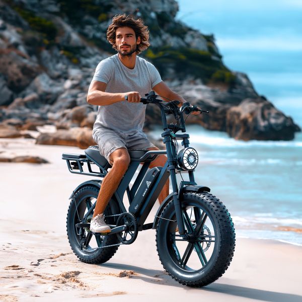 All Terrain Ebike Offroad  Bike Electric Bike Beach Cruise E-bike 750w Fat Tire Mountain E-bike  V8 Ebike