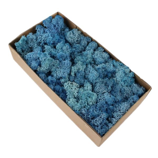 Stabilized Valentine Gift Preserved Natural Moss In Box