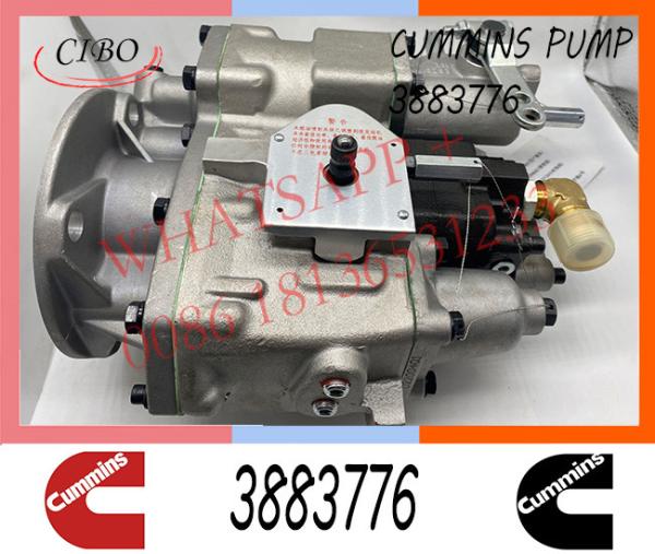 Cummins  NT855 M11 Diesel Engine Fuel Injection Pump 3883776 4951390