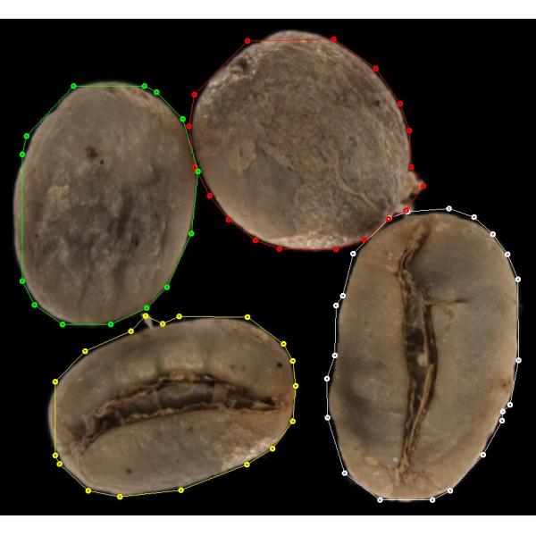 Анализатор зерна кофейных зерен качественный для contury центра осмотра