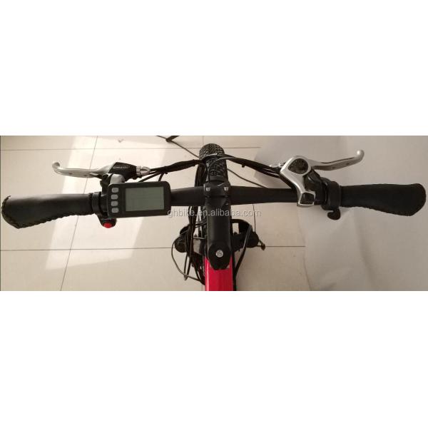 500W Cargo Adult 3 Wheel Electric Bicycle with Fat Aluminium Rim and EN71 Certificate