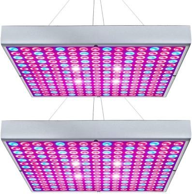 Red Blue White Panel 45w Led Grow For Seedling Vegetable Flower