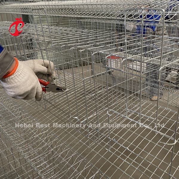 Toughness House Design Laying Chicken Battery Cage System With Cage Mesh Iris
