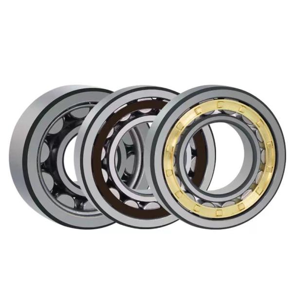 OEM Seals Type Cylindrical Roller Bearing NU226ECML/C4HVR6081 Made of Bearing Steel